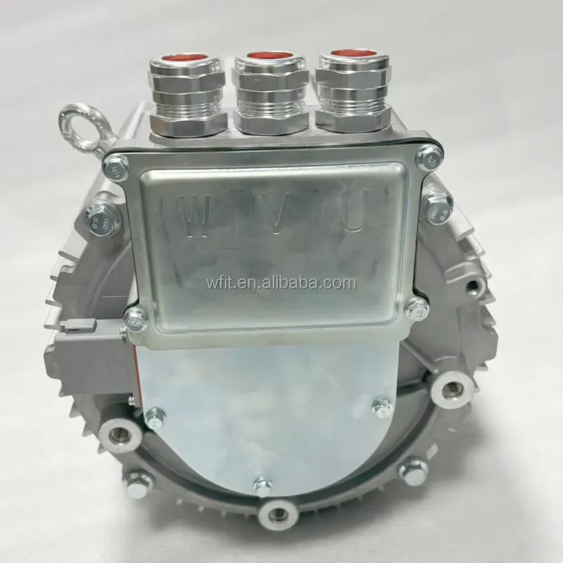 Kit Motore Elettrico PMSM 20kW - Ev Electric Motor Conversion Kit Car recensione e prezzo